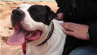 Alt girl with tattoos gets a heavy - porn video