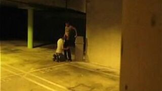 The WEHO Underground - porn video